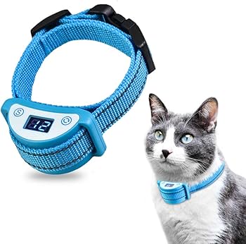 Training Collars for Cats
