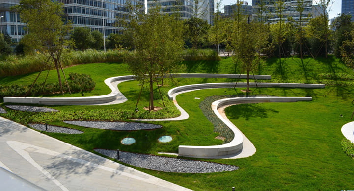 The Gardener’s Guide to Choosing Climate-Resilient Plants