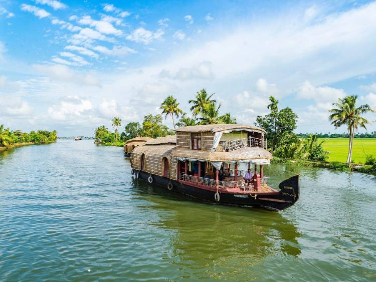 Ultimate Guide to Planning a Perfect Cochin Munnar Alleppey Tour